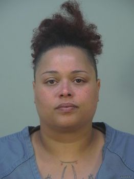 Brittany Nicole Martin Mugshot