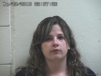 Christina Ann Collins Mugshot