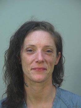 Debra Kaye Johnson Mugshot