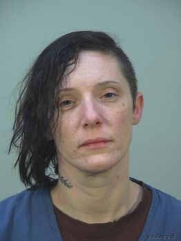 Debra Kaye Johnson Mugshot