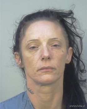 Debra Kaye Johnson Mugshot