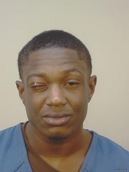 Ellis Jordan Howard Mugshot