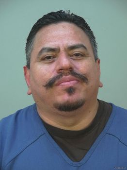 Francisco N\/a Ramirez-avitia Mugshot