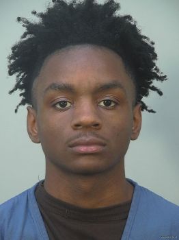 Jamarion D Williams Mugshot