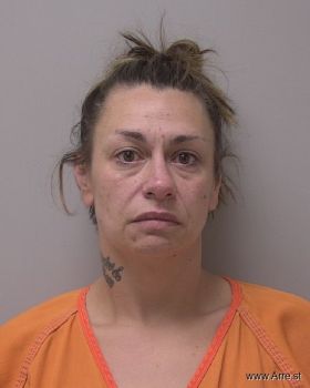 Jamie Lynn Shoemaker Mugshot