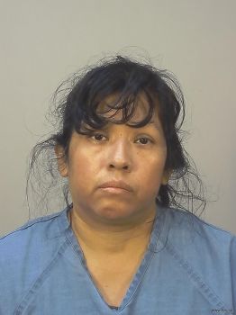 Julia N\/a Pacheco Vasquez Mugshot