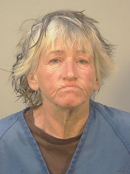 Julie Ann Hurley Mugshot