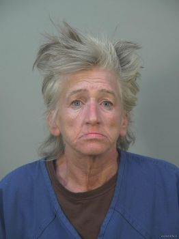 Julie Ann Hurley Mugshot