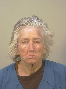 Julie Ann Hurley Mugshot