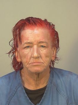 Julie Ann Hurley Mugshot