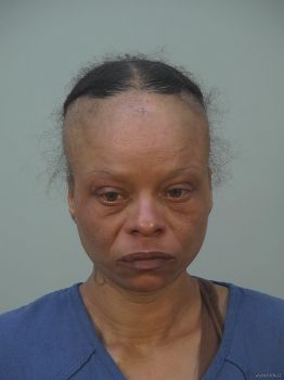 Lee Ann Anderson Mugshot