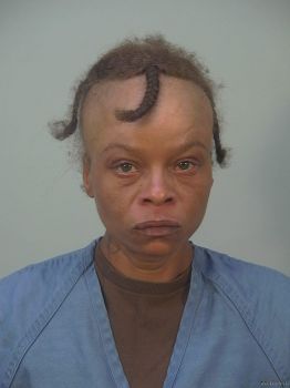 Lee Ann Anderson Mugshot