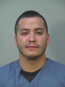 Luis Manuel Gomez Mugshot