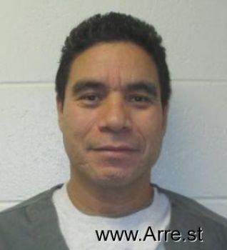 Manuel  Villarreal Frausto Mugshot