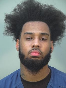 Marcelle N\/a Davis Mugshot