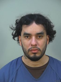 Mark Ian Castro Mugshot