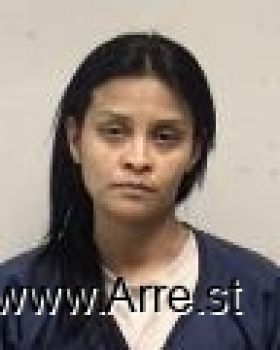 Martha Patricia Rodriguez-roman Mugshot