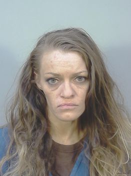 Megan Nicole Mayhew Mugshot