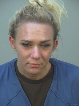 Michelle Elaine Allen Mugshot