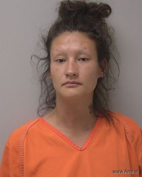 Nicole Jean Brownell Mugshot