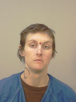 Rebecca Elaine Harrison Mugshot