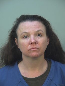 Robin Elizabeth Brown Mugshot