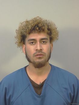 Sergio N\/a Rodriguez Arias Mugshot