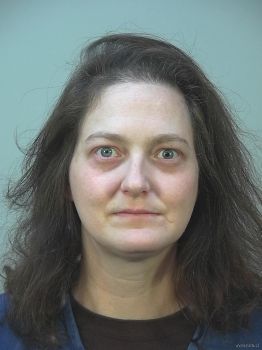 Susan Elizabeth Anderson Mugshot