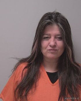 Tammie Lee Hamsing Mugshot