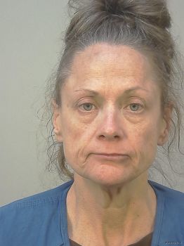 Tammy-lynn Elizabeth Powers Mugshot