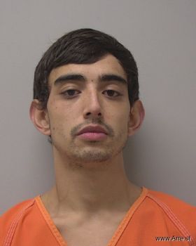 Trey Lee Emerich Mugshot