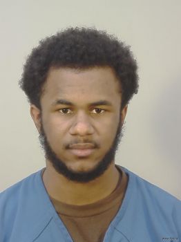 Tyson Linn Cobb Mugshot