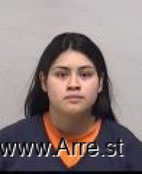 Yesenia  Flores-alcaide Mugshot