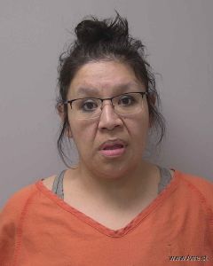 Christina Theilig-johnson Arrest Mugshot