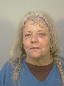 Debra Tarnowski Arrest Mugshot