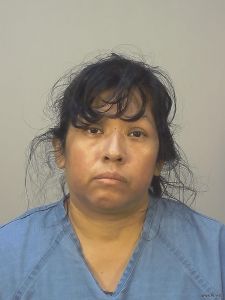 Julia Pacheco Vasquez Arrest Mugshot