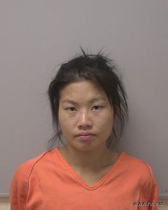 Lisa Vang Arrest Mugshot