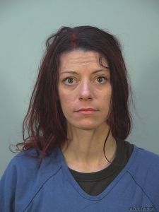 Michelle Padgett Arrest Mugshot