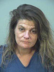 Rebecca Schmitt Arrest Mugshot