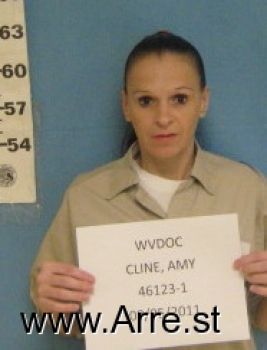 Amy  Cline Mugshot