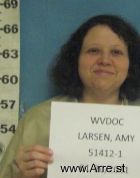 Amy D Larsen Mugshot