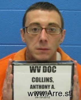 Anthony A Collins Mugshot