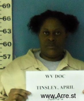 April G Tinsley Mugshot