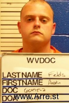 Austin  Fields Mugshot