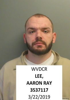 Aaron Ray Lee Mugshot