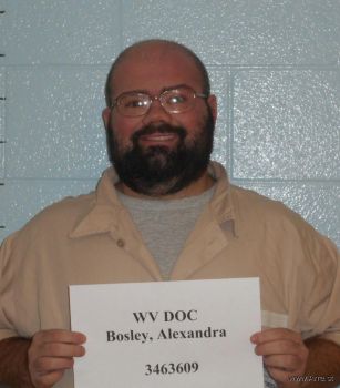 Alexander Calvin Bosley Mugshot