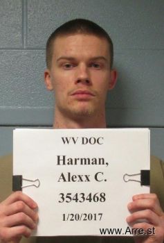 Alexx Cory Harman Mugshot