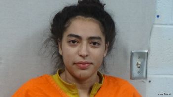 Allyson  Rivera-gonzalez Mugshot