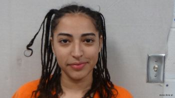 Allyson  Rivera-gonzalez Mugshot