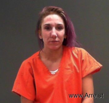 Alysa  Anderson Mugshot